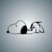 我家的布偶会后空翻你要来看吗