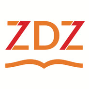 ZDZ player - steam id 76561198882624798