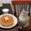 Wafer21