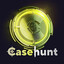 Perseus CASEHUNT