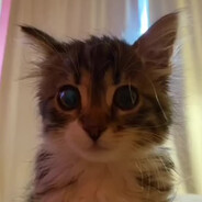 узбы хузбы буюзбы - steam id 76561199230629075