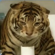 北海道第一耄耋