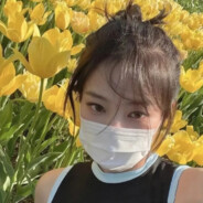 蓝桉未遇释槐鸟