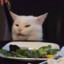 Salad Cat