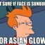 TheSunBurntAsian