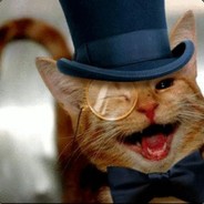 MR_MEOWY