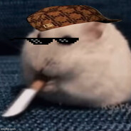 KwR - steam id 76561199039705696