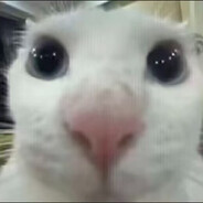 老蒋我到贵阳了