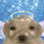 heaven dog