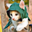 Assassin Kitten | trade.tf