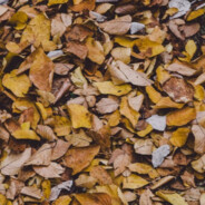    ☾▧►⇥≤☺≥