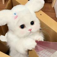 采蘑菇的小timer