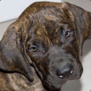 Blackhawke - steam id 76561197970941666