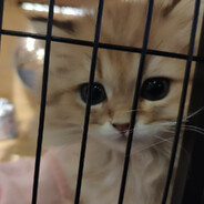 我他丫不是二毛五