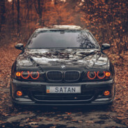 Кошачий вибрис