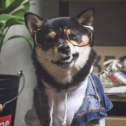 深海里的宇航员