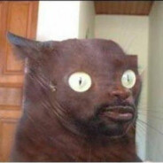 MW_MrNiggaCat7