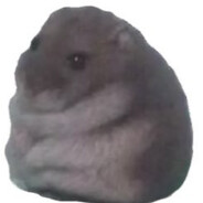 of