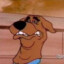 scoob