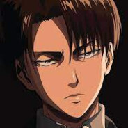 Levi