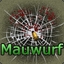 Mauwurf