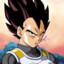 Vegeta(Costa Rica)89