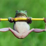 Sex Offender Frog
