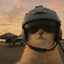 gasshik_