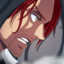 Shanks