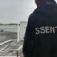 大约在冬季