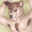 [fAtWussy] Coomgineer