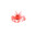 sewer crab
