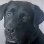 全力一搏能换一个