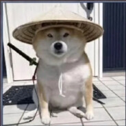 【监管】涩涩武士