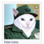 Fidel Catto pspspspsps