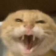 春风若可怜基米 可否许我再哈气