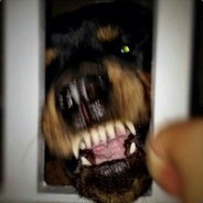 Администратор