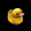 That dumb Quack