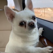 -Голый Дохлубь-