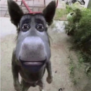 СУКА Я КОНЧЕННЫЙ