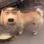 翻云覆雨序号龙