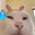 nyan