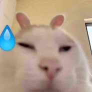 nyan