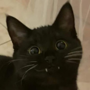 hodný kluk