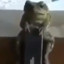 frog