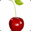 Cherry hellcase.com