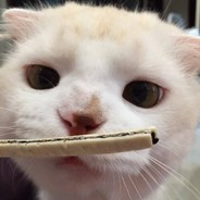 𝓵𝓮𝔀𝓲𝓬𝓮