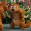 Garfield♥