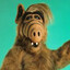 Alf.