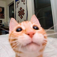 Котик - steam id 76561199105100610